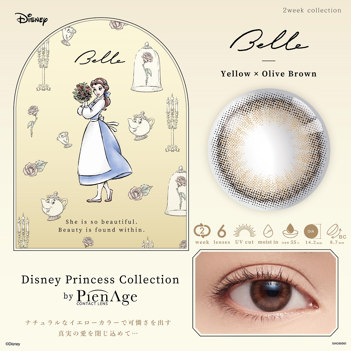 Disney Princess by PienAge 2week 6枚 ベル Yellow×OliveBR
