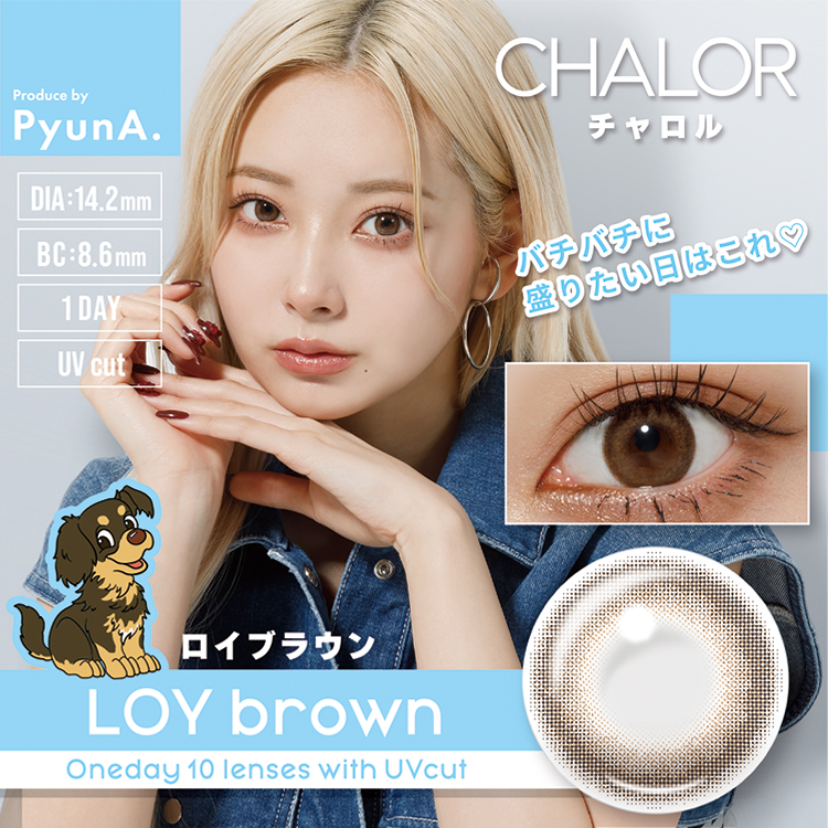 CHALOR（チャロル）ワンデー ロイブラウン